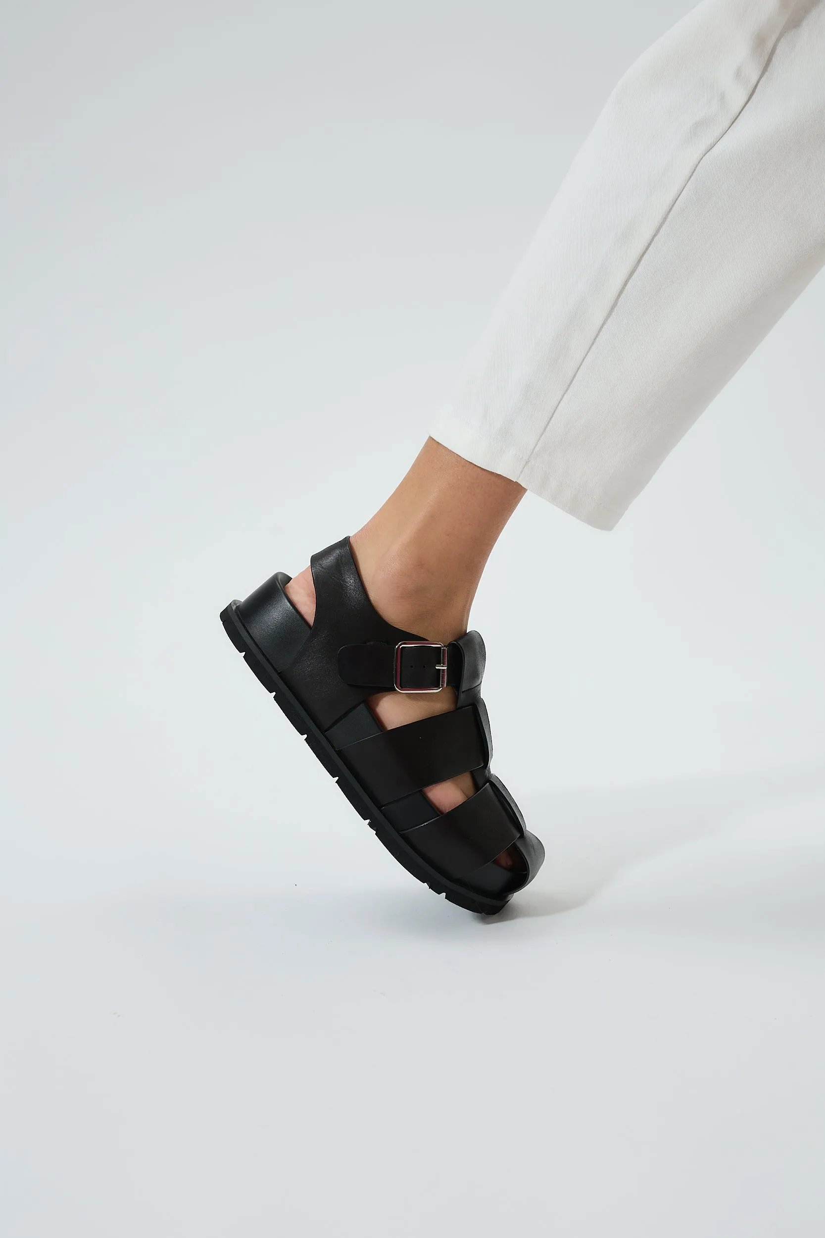 Kallia Black