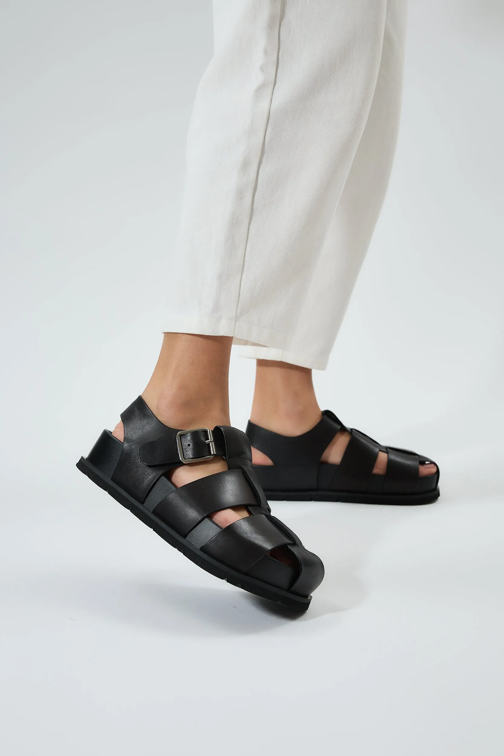 Kallia Black