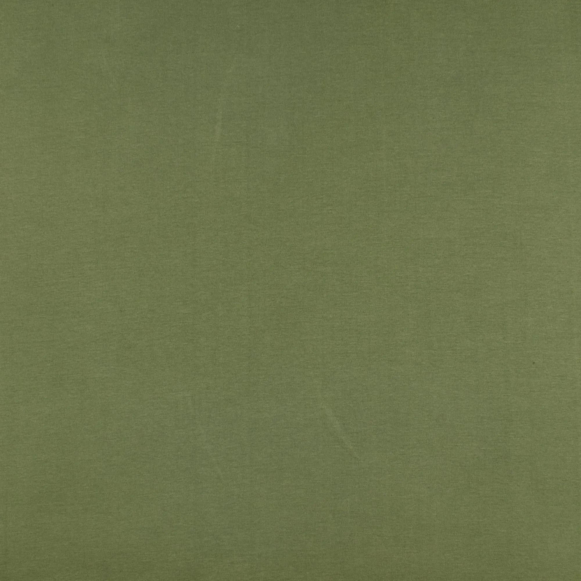 Rib Knit 1 x 1 - Olive